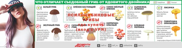 прущие грибы Баксан