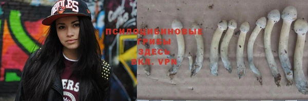 молекула духа Балахна