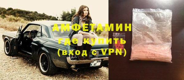 прущие грибы Баксан