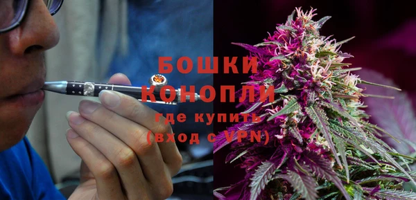 прущие грибы Баксан