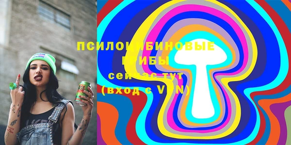 молекула духа Балахна