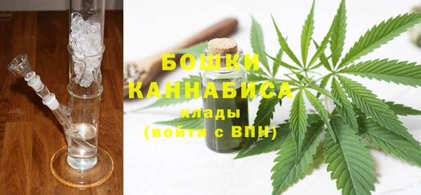 прущие грибы Баксан