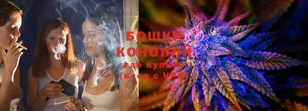прущие грибы Баксан