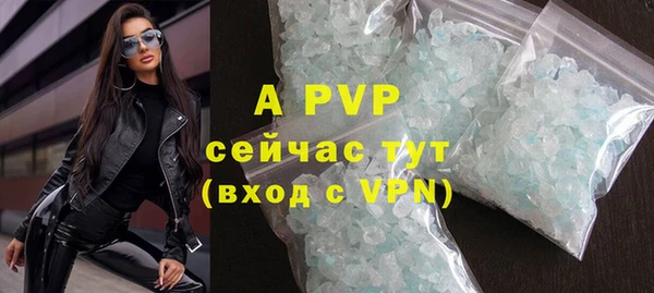 прущие грибы Баксан