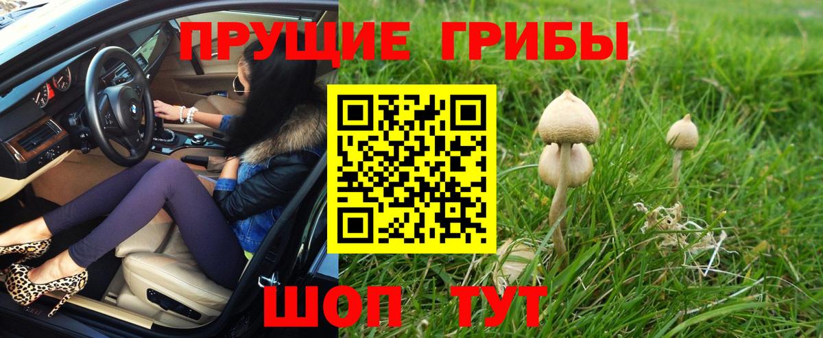 Галлюциногенные грибы прущие грибы  Псилоцибиновые грибы Cubensis  Вход с VPN  Верхний Уфалей 
